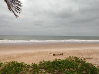 IMG_20190806_102920518