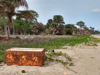 IMG_20190807_091141840_HDR