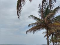 IMG_20190807_154238541_HDR