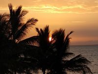 IMG_20190808_192645404