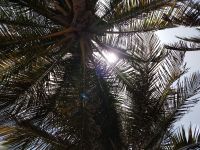 IMG_20190810_125216197