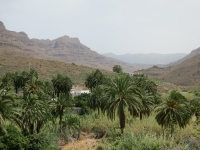 IMG_5150.JPG