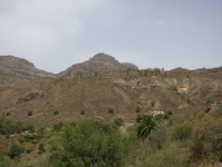 IMG_5154.JPG