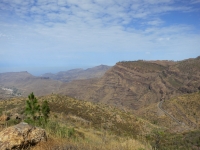 IMG_5332.JPG