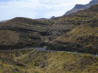 IMG_5345.JPG