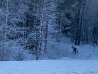 IMG_8189