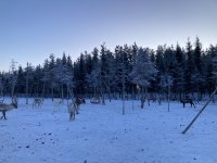 IMG_8200