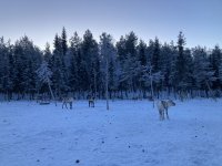 IMG_8204