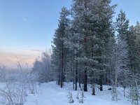 IMG_8301