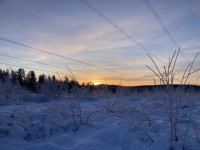 IMG_8304