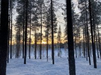 IMG_8313