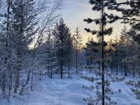 IMG_8315