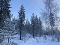 IMG_8330