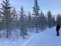 IMG_8333