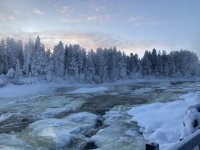 IMG_8370