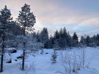 IMG_8386