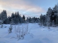 IMG_8388
