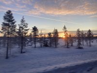 IMG_8469
