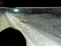 PXL_20260102_171650711