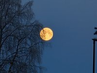 PXL_20260103_090059439