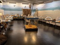 PXL_20260103_111426199