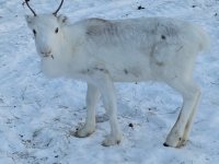 PXL_20260103_123346475