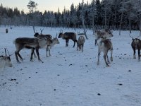 PXL_20260103_124006307