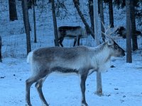 PXL_20260103_125016395