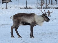 PXL_20260103_125128810