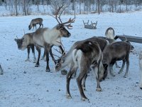 PXL_20260103_130129792