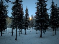 PXL_20260103_140135122