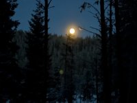 PXL_20260103_140320292.PORTRAIT.ORIGINAL