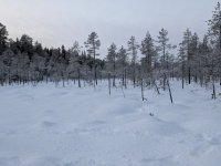 PXL_20260104_123232001