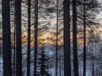 PXL_20260105_095134004