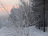 PXL_20260105_100008724