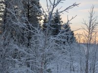 PXL_20260105_100015207