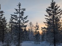 PXL_20260105_103023719