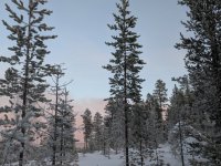 PXL_20260105_111601362