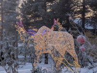 PXL_20260105_115550768