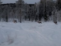 PXL_20260106_082003035