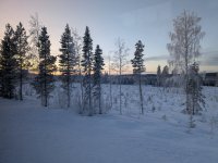 PXL_20260106_083042080.MP_