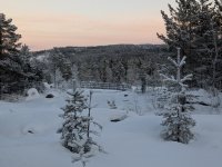 PXL_20260106_093723884