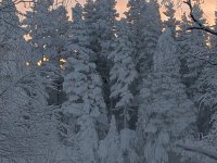 PXL_20260106_093911179