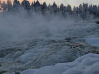 PXL_20260106_095517614.MP_