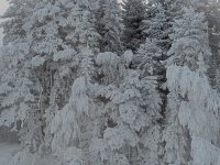 PXL_20260106_101242946