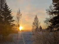 PXL_20260106_104600546.MP_