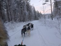 PXL_20260106_121014239.MP_