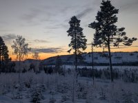 PXL_20260107_083604086.ACTION_PAN-02.ORIGINAL