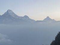 IMG_6528