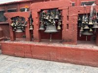 IMG_8498